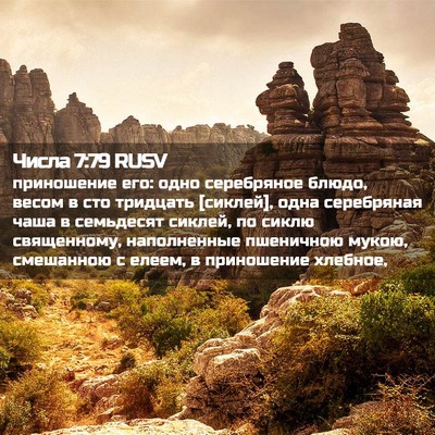 Picture 02 - Числа 7:79 RUSV - приношение его: одно - Bible Verse Picture