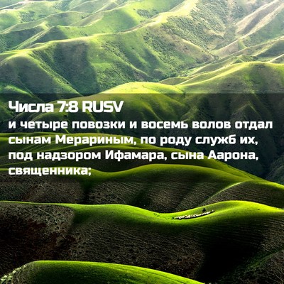 Picture 02 - Числа 7:8 RUSV - и четыре повозки и восемь - Bible Verse Picture