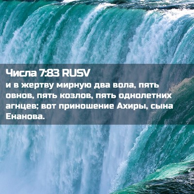 Picture 02 - Числа 7:83 RUSV - и в жертву мирную два вола, - Bible Verse Picture