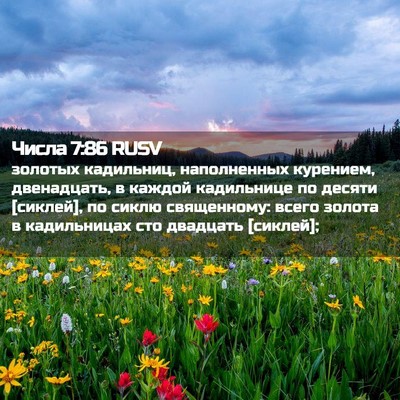 Picture 02 - Числа 7:86 RUSV - золотых кадильниц, - Bible Verse Picture