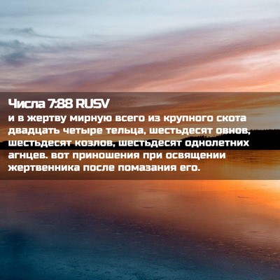 Picture 02 - Числа 7:88 RUSV - и в жертву мирную всего из - Bible Verse Picture
