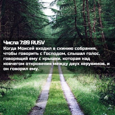 Picture 02 - Числа 7:89 RUSV - Когда Моисей входил в - Bible Verse Picture