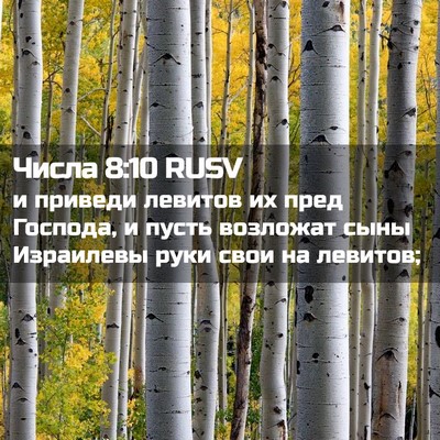 Picture 02 - Числа 8:10 RUSV - и приведи левитов их пред - Bible Verse Picture