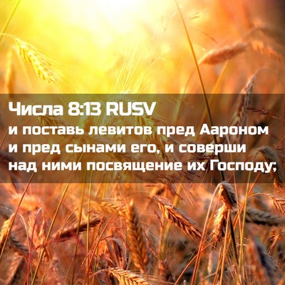 Picture 02 - Числа 8:13 RUSV - и поставь левитов пред - Bible Verse Picture