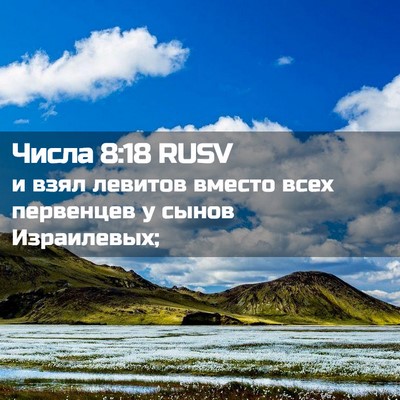 Picture 02 - Числа 8:18 RUSV - и взял левитов вместо всех - Bible Verse Picture