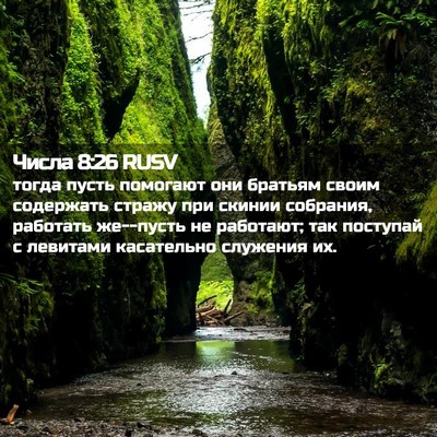 Picture 02 - Числа 8:26 RUSV - тогда пусть помогают они - Bible Verse Picture