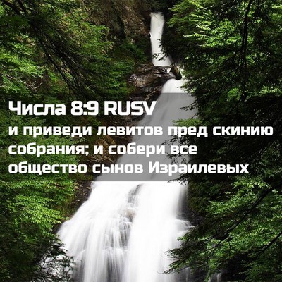 Picture 02 - Числа 8:9 RUSV - и приведи левитов пред - Bible Verse Picture