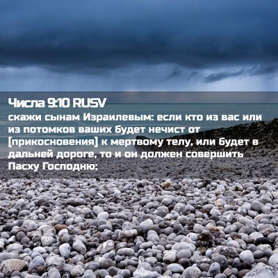 Picture 02 - Числа 9:10 RUSV - скажи сынам Израилевым: - Bible Verse Picture