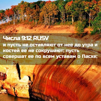 Picture 02 - Числа 9:12 RUSV - и пусть не оставляют от нее - Bible Verse Picture