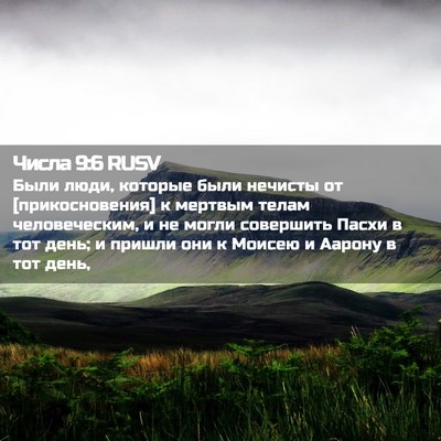Picture 02 - Числа 9:6 RUSV - Были люди, которые были - Bible Verse Picture