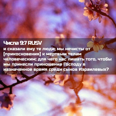 Picture 02 - Числа 9:7 RUSV - и сказали ему те люди: мы - Bible Verse Picture