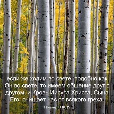 Picture 03 - 1 Иоанна 1:7 RUSV - если же ходим во свете, - Bible Verse Picture