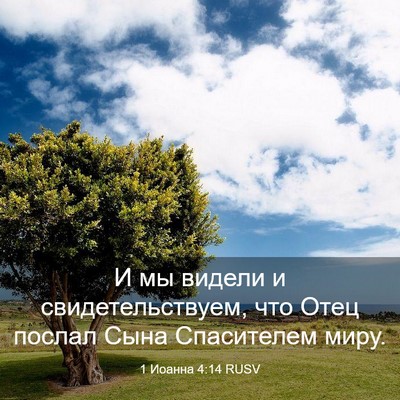 Picture 03 - 1 Иоанна 4:14 RUSV - И мы видели и - Bible Verse Picture