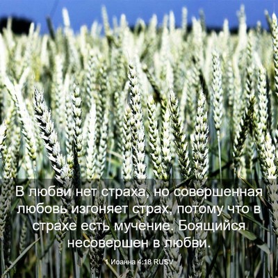 Picture 03 - 1 Иоанна 4:18 RUSV - В любви нет страха, но - Bible Verse Picture