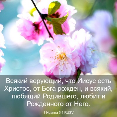 Picture 03 - 1 Иоанна 5:1 RUSV - Всякий верующий, что Иисус - Bible Verse Picture