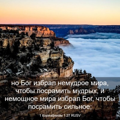 Picture 03 - 1 Коринфянам 1:27 RUSV - но Бог избрал немудрое - Bible Verse Picture