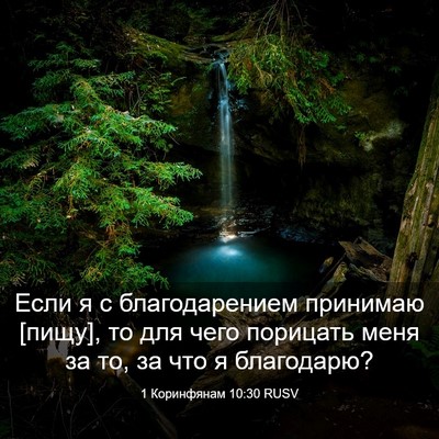 Picture 03 - 1 Коринфянам 10:30 RUSV - Если я с благодарением - Bible Verse Picture