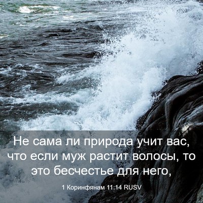 Picture 03 - 1 Коринфянам 11:14 RUSV - Не сама ли природа учит - Bible Verse Picture