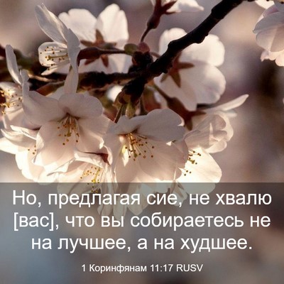 Picture 03 - 1 Коринфянам 11:17 RUSV - Но, предлагая сие, не хвалю - Bible Verse Picture