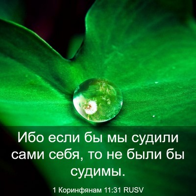 Picture 03 - 1 Коринфянам 11:31 RUSV - Ибо если бы мы судили сами - Bible Verse Picture