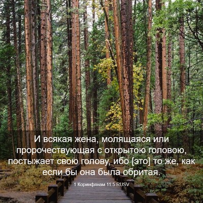 Picture 03 - 1 Коринфянам 11:5 RUSV - И всякая жена, молящаяся - Bible Verse Picture