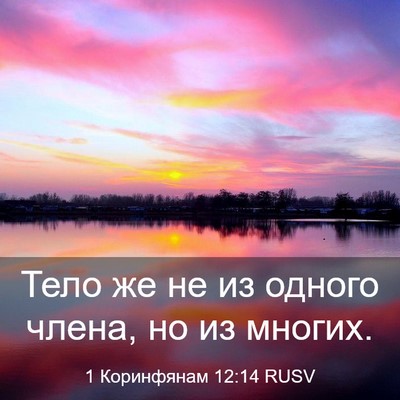 Picture 03 - 1 Коринфянам 12:14 RUSV - Тело же не из одного члена, - Bible Verse Picture