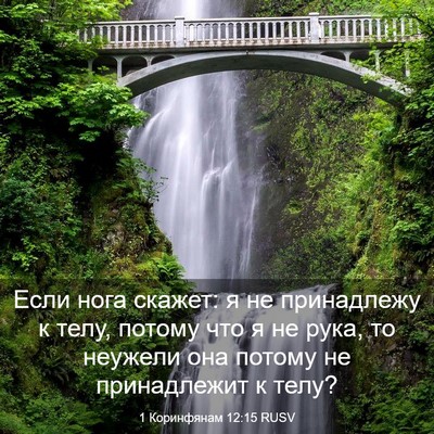Picture 03 - 1 Коринфянам 12:15 RUSV - Если нога скажет: я не - Bible Verse Picture