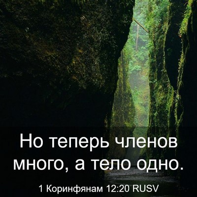 Picture 03 - 1 Коринфянам 12:20 RUSV - Но теперь членов много, а - Bible Verse Picture