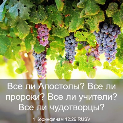 Picture 03 - 1 Коринфянам 12:29 RUSV - Все ли Апостолы? Все ли - Bible Verse Picture