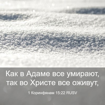 Picture 03 - 1 Коринфянам 15:22 RUSV - Как в Адаме все умирают, - Bible Verse Picture