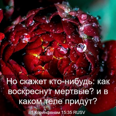 Picture 03 - 1 Коринфянам 15:35 RUSV - Но скажет кто-нибудь: как - Bible Verse Picture
