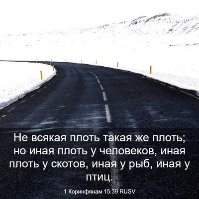 Picture 03 - 1 Коринфянам 15:39 RUSV - Не всякая плоть такая же - Bible Verse Picture