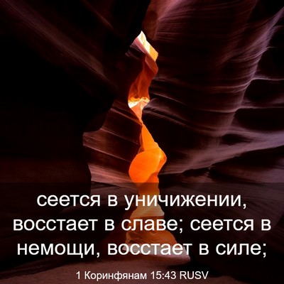 Picture 03 - 1 Коринфянам 15:43 RUSV - сеется в уничижении, - Bible Verse Picture