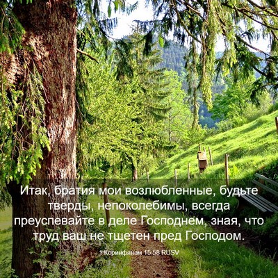 Picture 03 - 1 Коринфянам 15:58 RUSV - Итак, братия мои - Bible Verse Picture
