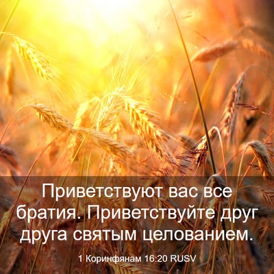 Picture 03 - 1 Коринфянам 16:20 RUSV - Приветствуют вас все - Bible Verse Picture