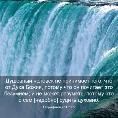 Picture 03 - 1 Коринфянам 2:14 RUSV - Душевный человек не - Bible Verse Picture