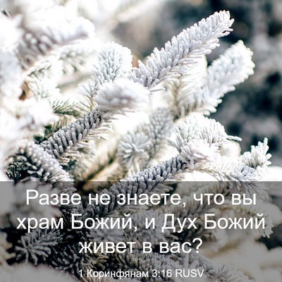 Picture 03 - 1 Коринфянам 3:16 RUSV - Разве не знаете, что вы - Bible Verse Picture