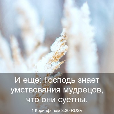 Picture 03 - 1 Коринфянам 3:20 RUSV - И еще: Господь знает - Bible Verse Picture