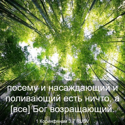 Picture 03 - 1 Коринфянам 3:7 RUSV - посему и насаждающий и - Bible Verse Picture