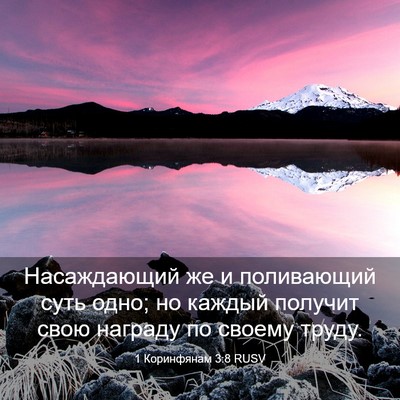 Picture 03 - 1 Коринфянам 3:8 RUSV - Насаждающий же и - Bible Verse Picture