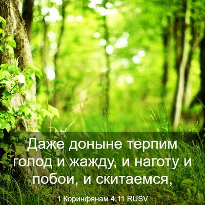 Picture 03 - 1 Коринфянам 4:11 RUSV - Даже доныне терпим голод и - Bible Verse Picture