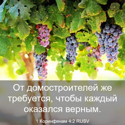 Picture 03 - 1 Коринфянам 4:2 RUSV - От домостроителей же - Bible Verse Picture