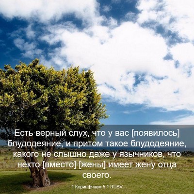 Picture 03 - 1 Коринфянам 5:1 RUSV - Есть верный слух, что у вас - Bible Verse Picture