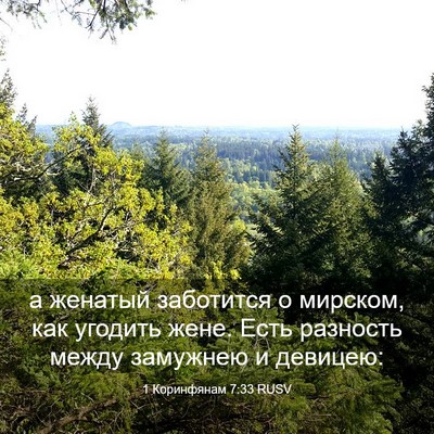 Picture 03 - 1 Коринфянам 7:33 RUSV - а женатый заботится о - Bible Verse Picture