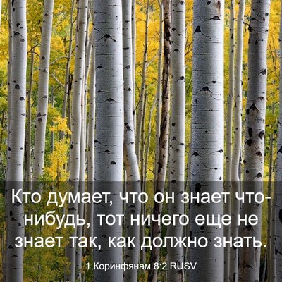 Picture 03 - 1 Коринфянам 8:2 RUSV - Кто думает, что он знает - Bible Verse Picture
