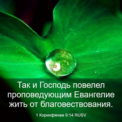 Picture 03 - 1 Коринфянам 9:14 RUSV - Так и Господь повелел - Bible Verse Picture