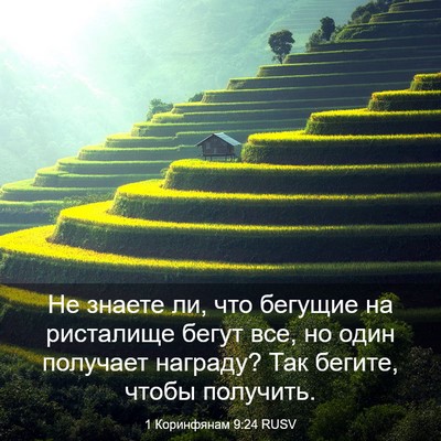 Picture 03 - 1 Коринфянам 9:24 RUSV - Не знаете ли, что бегущие - Bible Verse Picture