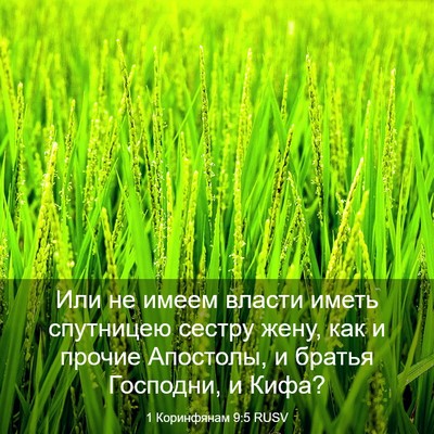 Picture 03 - 1 Коринфянам 9:5 RUSV - Или не имеем власти иметь - Bible Verse Picture