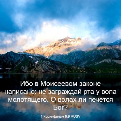 Picture 03 - 1 Коринфянам 9:9 RUSV - Ибо в Моисеевом законе - Bible Verse Picture