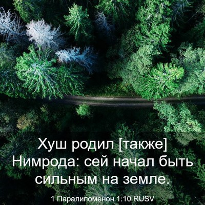 Picture 03 - 1 Паралипоменон 1:10 RUSV - Хуш родил [также] Нимрода: - Bible Verse Picture